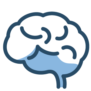 MRIデータで脳や脊髄の状態を確認